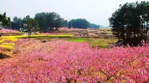 与丁建顺结识的青春岁月