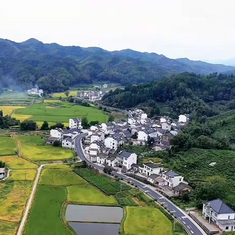 新旧时光里的汪村