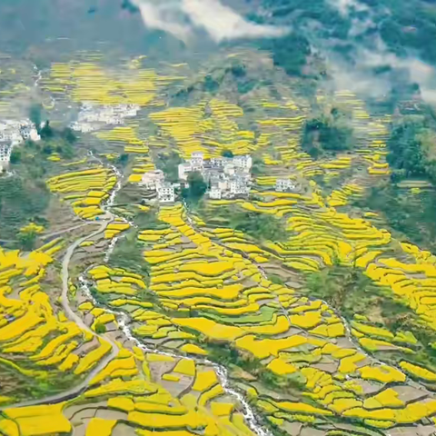 随洪元根三阳行