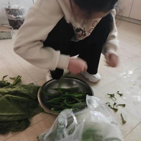 我劳动我快乐
