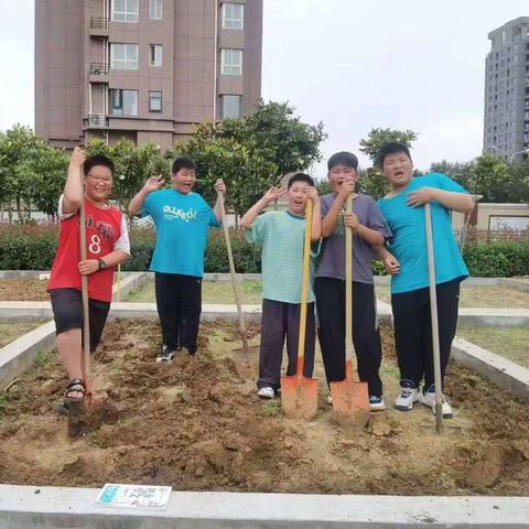 劳动美丰收乐——漯河市实验小学西城校区五二班劳动实践