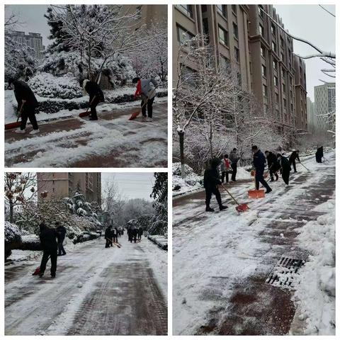 以雪为令 守护家园 — 济发物业盛景家园项目部开展扫雪除冰行动