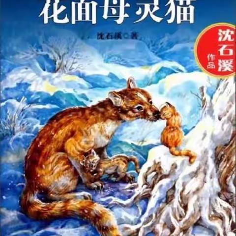 悦读阅美—《花面母灵猫》