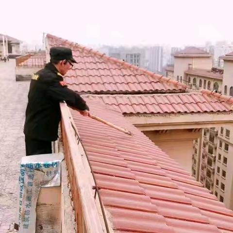 闻“风”而动，守护家园 ﻿——华龙区房地产事务中心积极应对强风降温天气