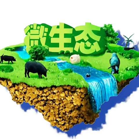 回归自然，探寻自然农法的奥秘