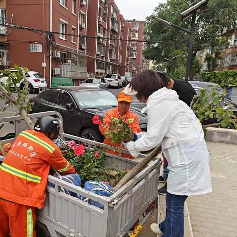 共绘绿色画卷，缔造幸福家园