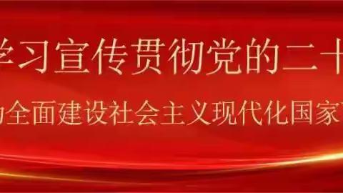 庆阳分行开展“金智惠民·乡村振兴”青年学子参观生态菌园活动