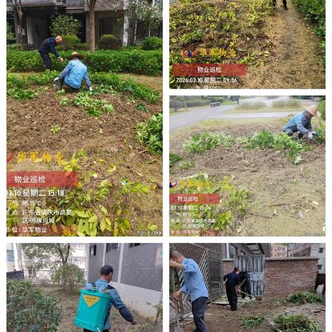 恒保尚城物业3月工作月报