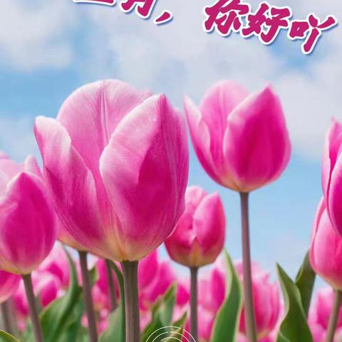 恒保尚城物业服务中心 2026年5月份的工作简篇