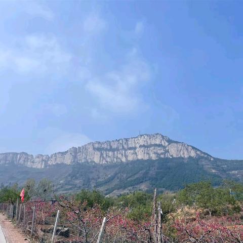 【马年爬马山，赏桃花、回味赶会！】
