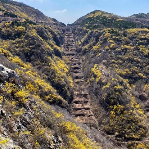 【空心山-青龙峪-拔槊泉探洞赏花】 哆啦户外|4.11日周六青龙峪徒步赏连翘
