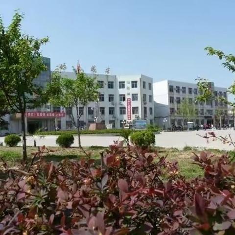 2023年成武县伯乐实验学校小学一年级招生简章