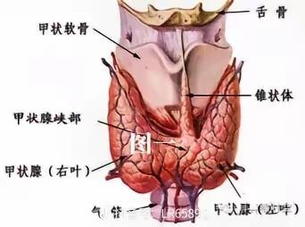 小结节，大问题