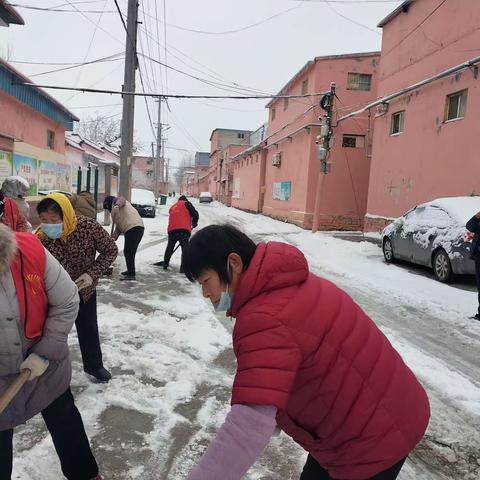 瑞雪兆丰年  走访送温暖--杨史道口村志愿服务队除雪走访活动