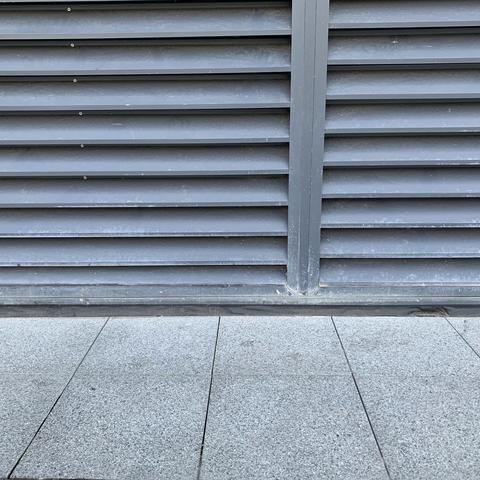 2023年8月13日巡场汇总