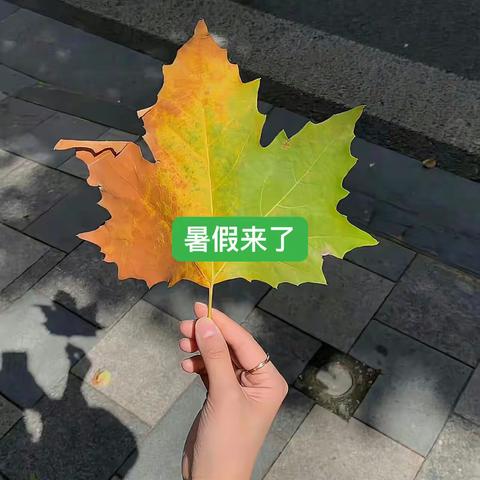爱吃柠檬的susie🎠的简篇