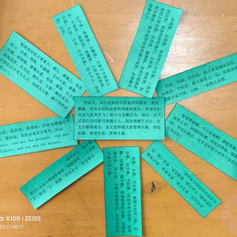 少年不负凌云志，百日冲刺正当时 ——牛毛坞镇中学2025年春开学典礼暨中考百日冲刺誓师大会