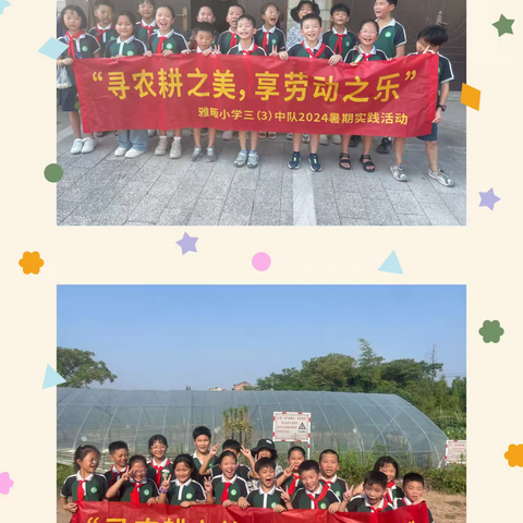 “寻农耕之美，享劳动之乐” 雅畈小学三（3）中队2024暑期实践活动