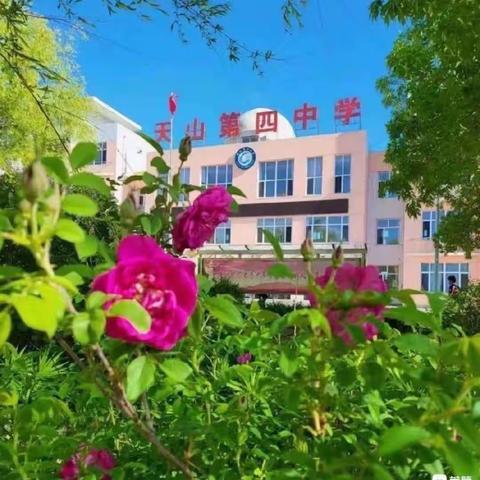 七年二班擎云组数学假期实践作业