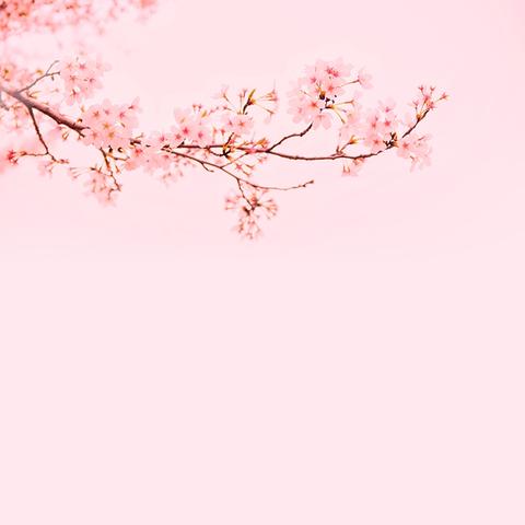 五爱润童心 共育好童年——银川市兴庆区第二十七幼儿园“五爱课程”宣传手册