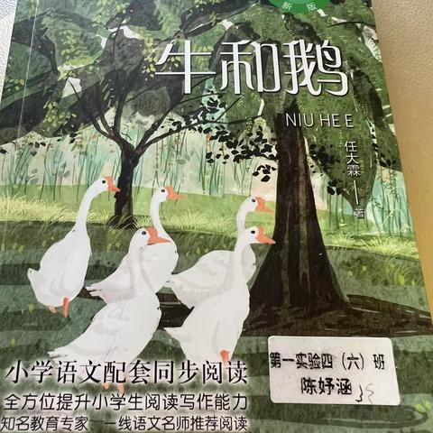 书香漫步