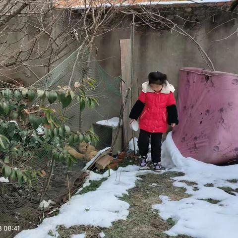 二《七》班张沐溪寒假生活