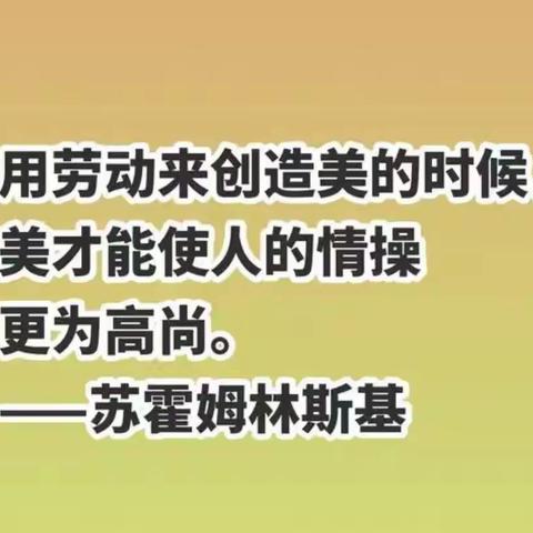 2024年元旦家庭劳动实践活动 ——汉滨初中七年级12班