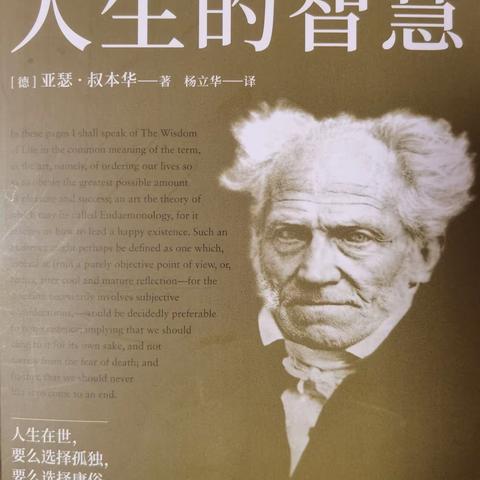 人生在世，要么选择孤独、要么选择庸俗，别无他法——叔本华著《人生的智慧》