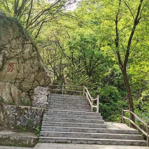 “空山新雨后”游太平口万华山景区