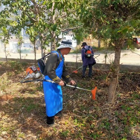 路居镇湖滨生态区域“梳头洗脸”迎新春