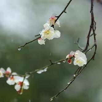 "千林有影高山见，百鸟齐鸣美景还"拜泉县老科协清塘荷韵诗词分会第二十期作业