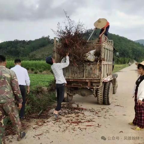 翰林镇开展常态化废弃农膜回收工作