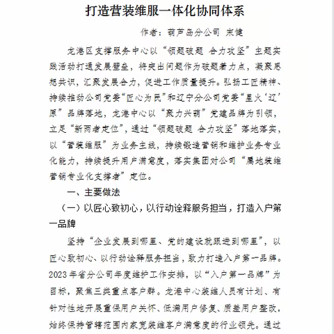 龙港区支撑服务中心：作者宋健