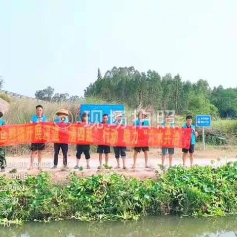 2024年4月30号乌烈镇组织开展清理水浮莲活动，助力“六水共治”