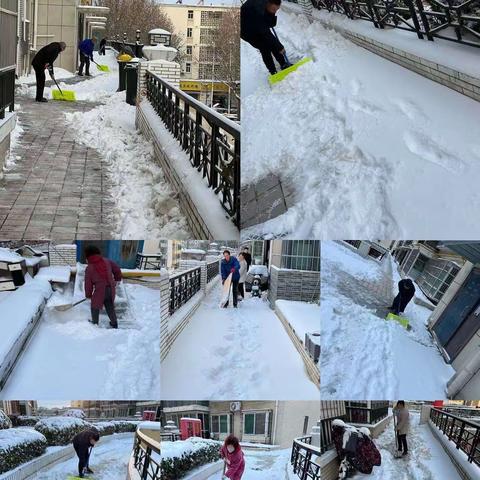 瑞雪满城市 扫雪护安全