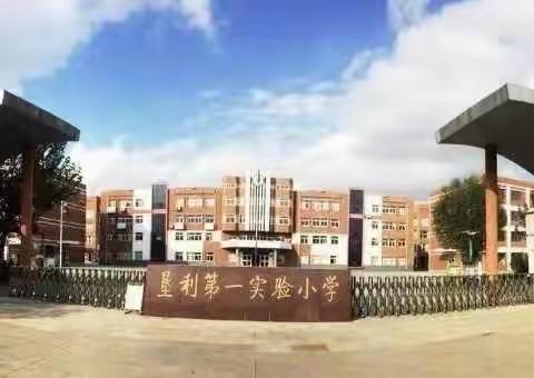 植树护绿，“树”你最美——垦利区第一实验小学五年级六班植树节活动