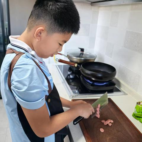 愉快的假期——家务劳动 冀禹锡