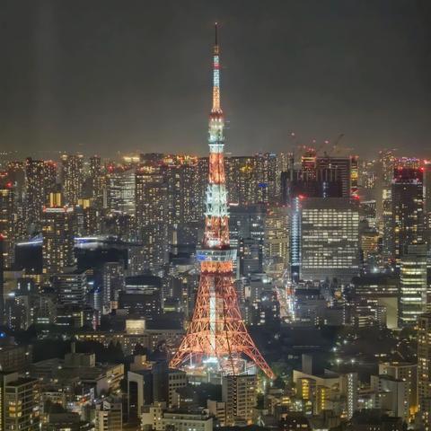 儿子带我游日本（第五天）：在东京“仰望星空”