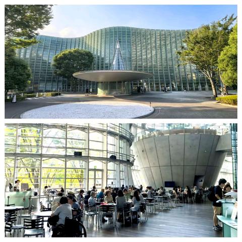儿子带我游日本（第八天）：美术馆之旅