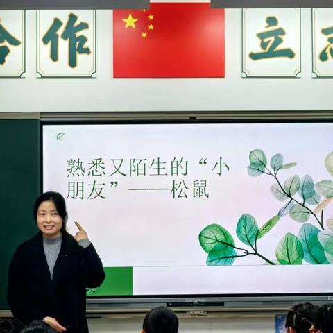 熟悉又陌生的“小朋友”—松鼠