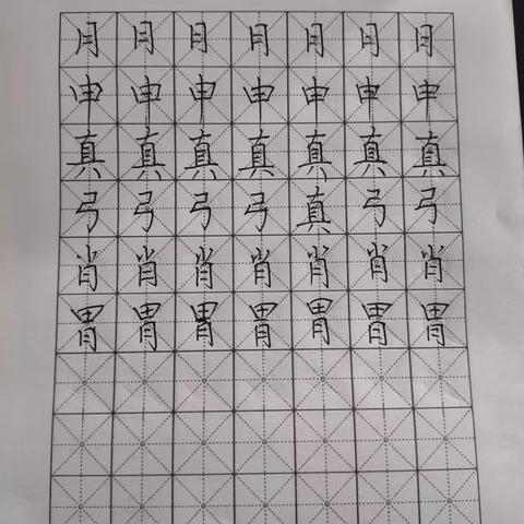 徐贺小学教师钢笔字粉笔字作业训练第八周