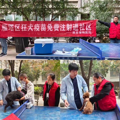 乐游东路社区| 狂犬疫苗免费注射进社区活动