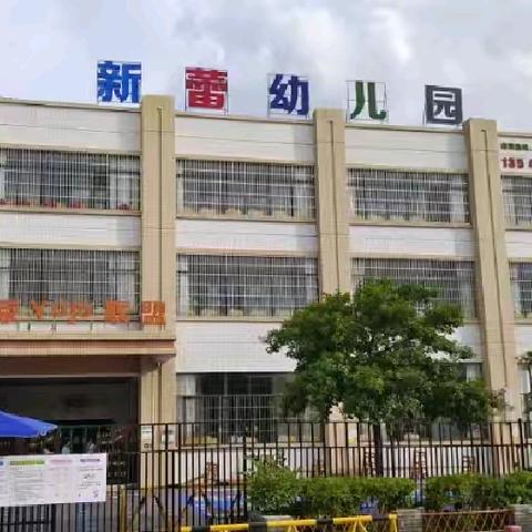 🏘曹江镇新蕾幼儿园暑假温馨提示及安全教育
