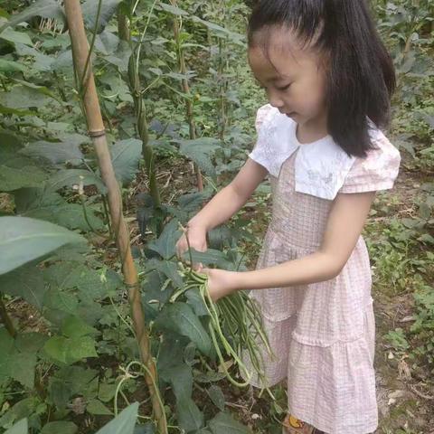 暑假德育实践作业