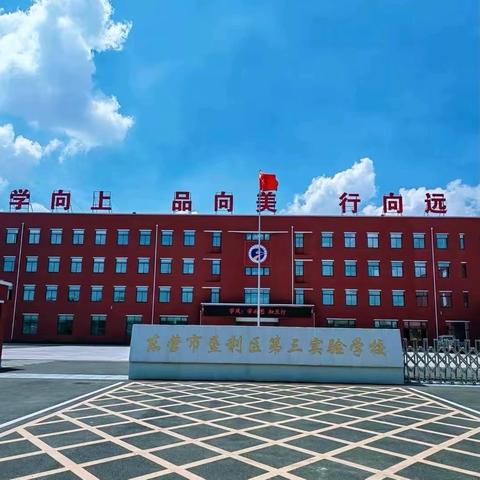 酷玩理化 ·“夏日实验室”奇遇记 ‍——垦利区第三实验学校实验探究活动