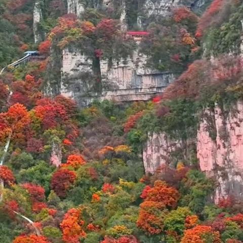 🍁特惠免门票🍁10.26号【周日】运城五老峰赏秋一日游