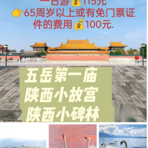 华山西岳庙/平陆大天鹅