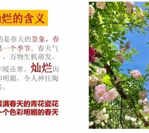 🌱春芽艺术🌱-小班美术课《春光灿烂》。