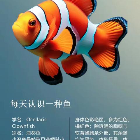 🌱春芽艺术🌱-萌芽班《可爱的小丑鱼》。🐟