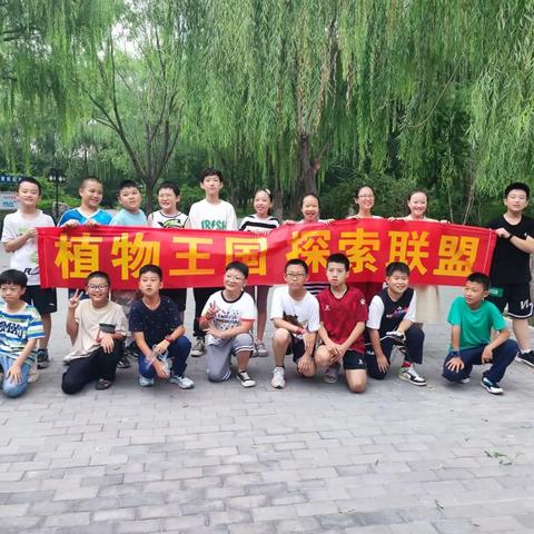 植物王国探索联盟实践活动